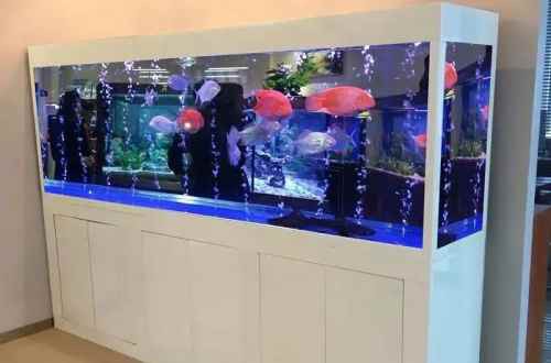 明易堂武汉风水师丁立柏