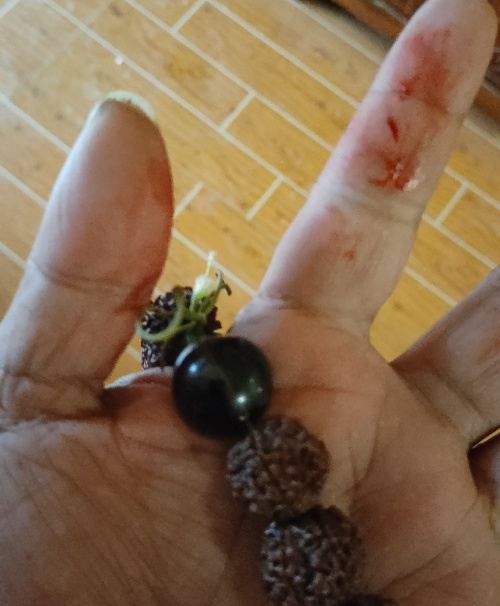 明易堂武汉风水师丁立柏