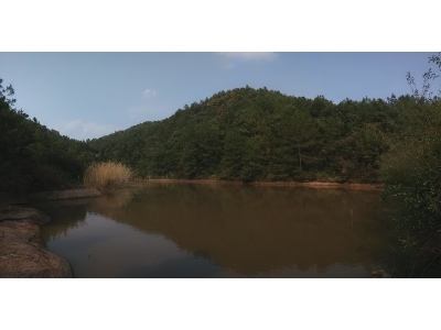 阴宅风水的鉴别（经典风水案例51）