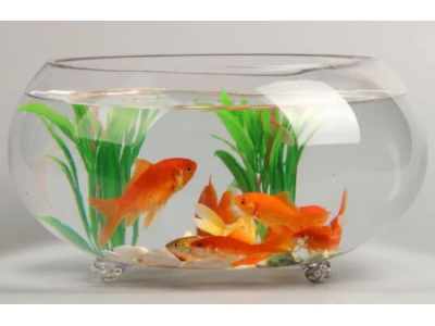 鱼缸的风水作用（易学明镜录98）