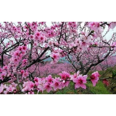 卧室风水与夫妻关系（风水大讲堂12）