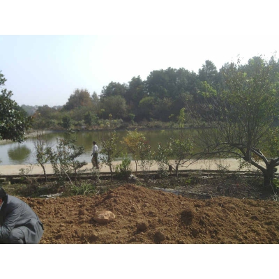 土皇日（经典风水案例30）