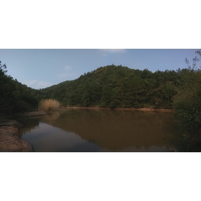 阴宅风水的鉴别（经典风水案例51）
